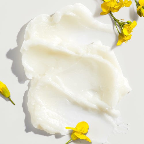 [SUISKIN] Blooming Canola Cleansing Balm